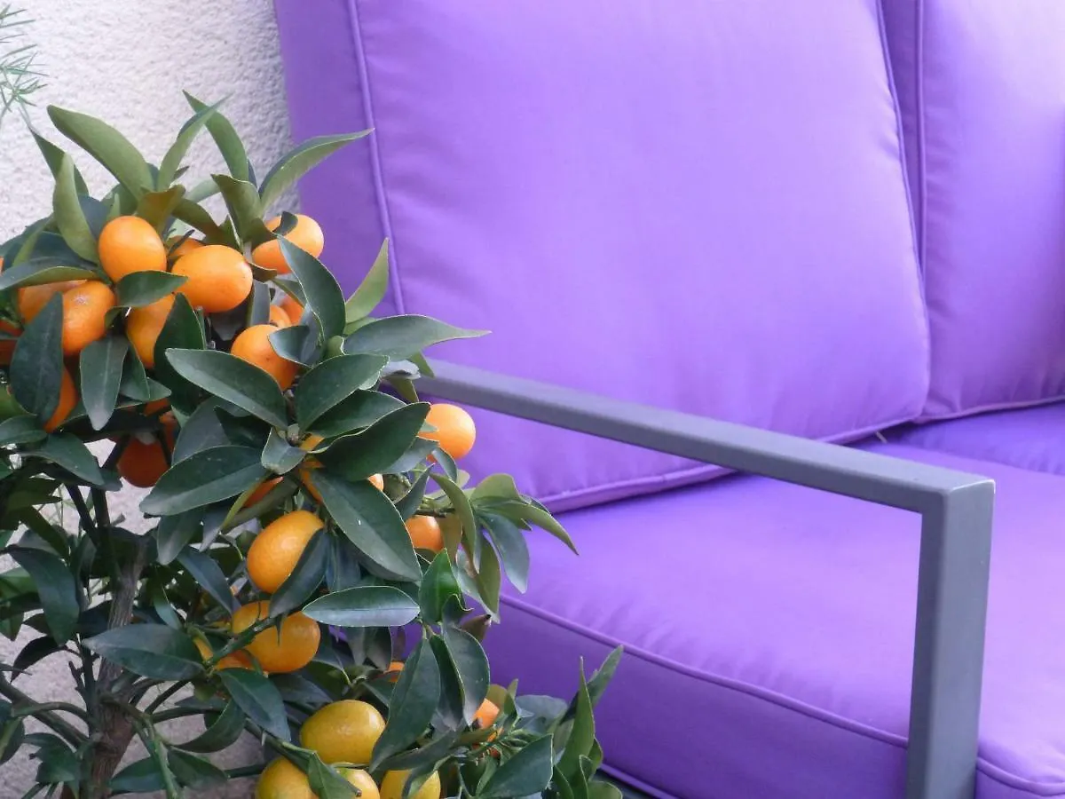 La Pergola Bed & Breakfast Chateauneuf-du-Pape